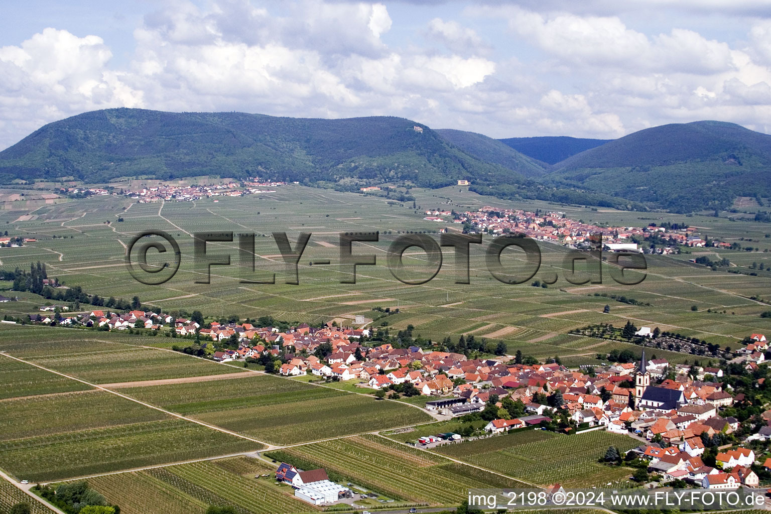 Vue aérienne de Rhodt à Rhodt unter Rietburg dans le département Rhénanie-Palatinat, Allemagne