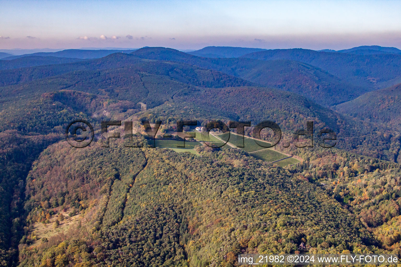 Vue aérienne de Odinstal, le plus haut domaine viticole du Palatinat à le quartier Wachenheim in Wachenheim an der Weinstraße dans le département Rhénanie-Palatinat, Allemagne