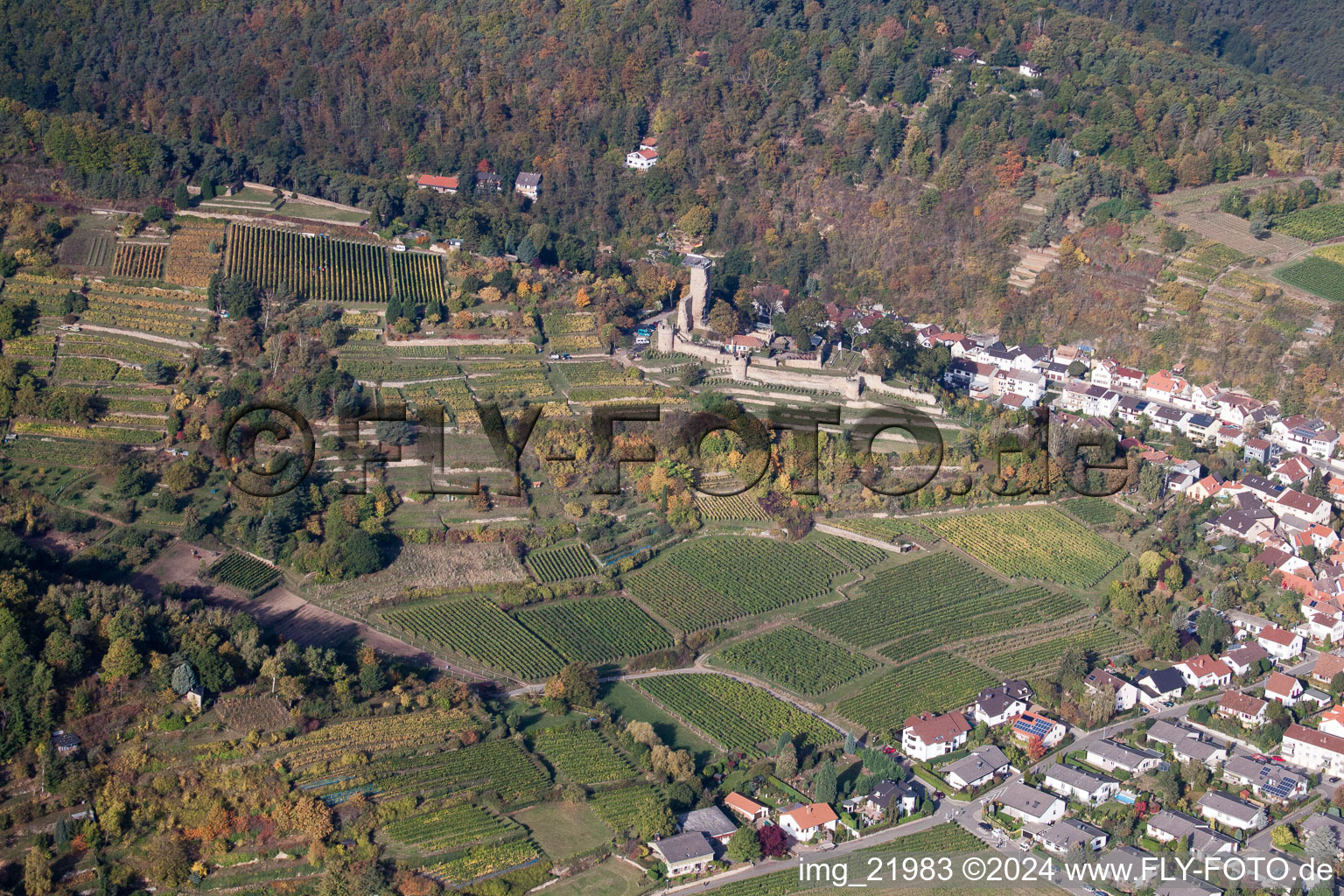 Vue aérienne de Wachenheim, Château de Wachenheim à Wachenheim an der Weinstraße dans le département Rhénanie-Palatinat, Allemagne