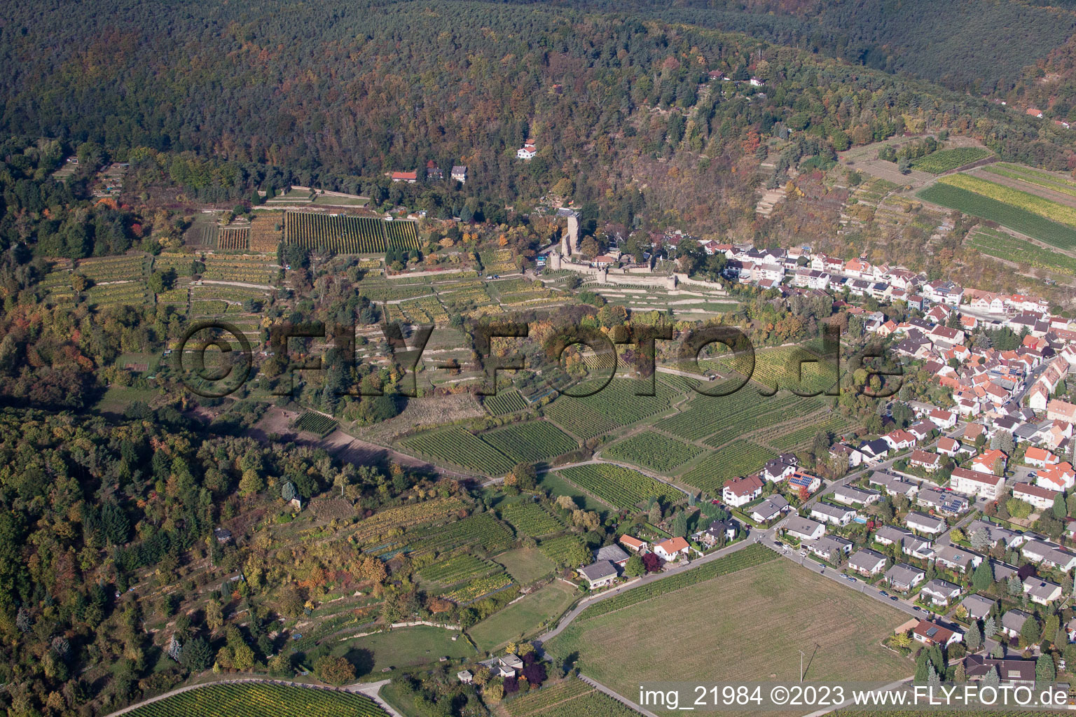 Vue aérienne de Wachenheim, Château de Wachenheim à Wachenheim an der Weinstraße dans le département Rhénanie-Palatinat, Allemagne