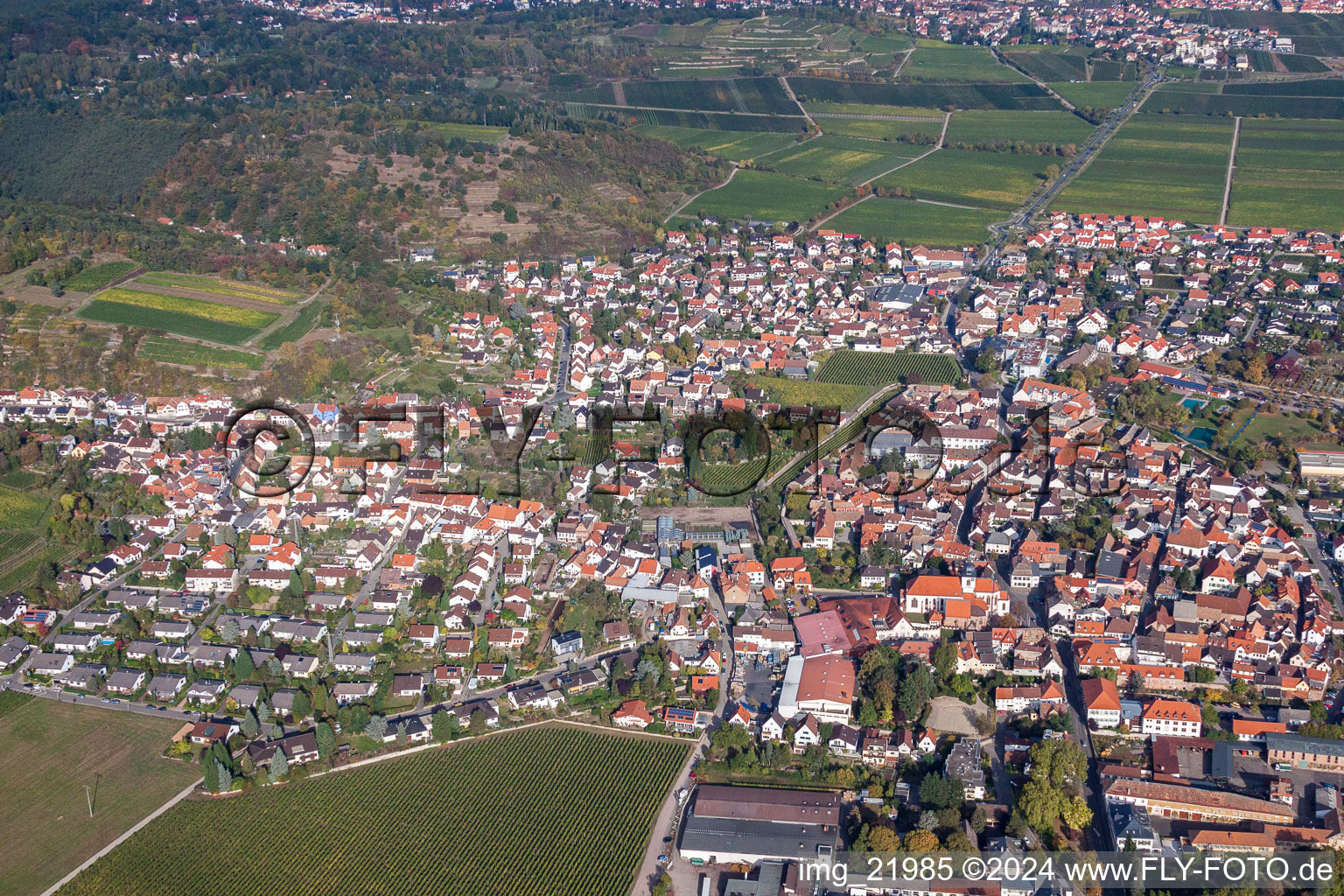 Vue aérienne de Vue des rues et des maisons des quartiers résidentiels à le quartier Wachenheim in Wachenheim an der Weinstraße dans le département Rhénanie-Palatinat, Allemagne