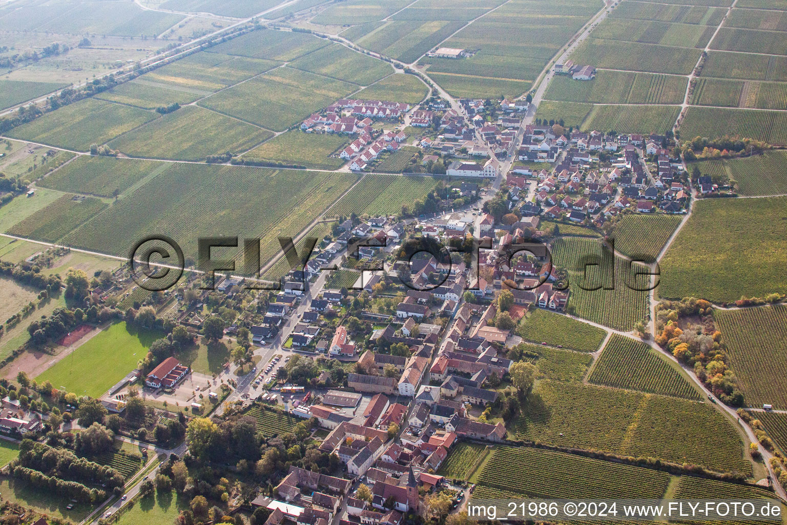 Vue aérienne de Domaines viticoles et surfaces utilisables à le quartier Forst in Forst an der Weinstraße dans le département Rhénanie-Palatinat, Allemagne