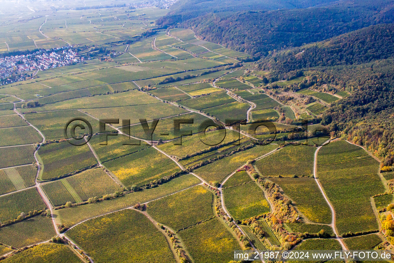 Photographie aérienne de Forst an der Weinstraße dans le département Rhénanie-Palatinat, Allemagne