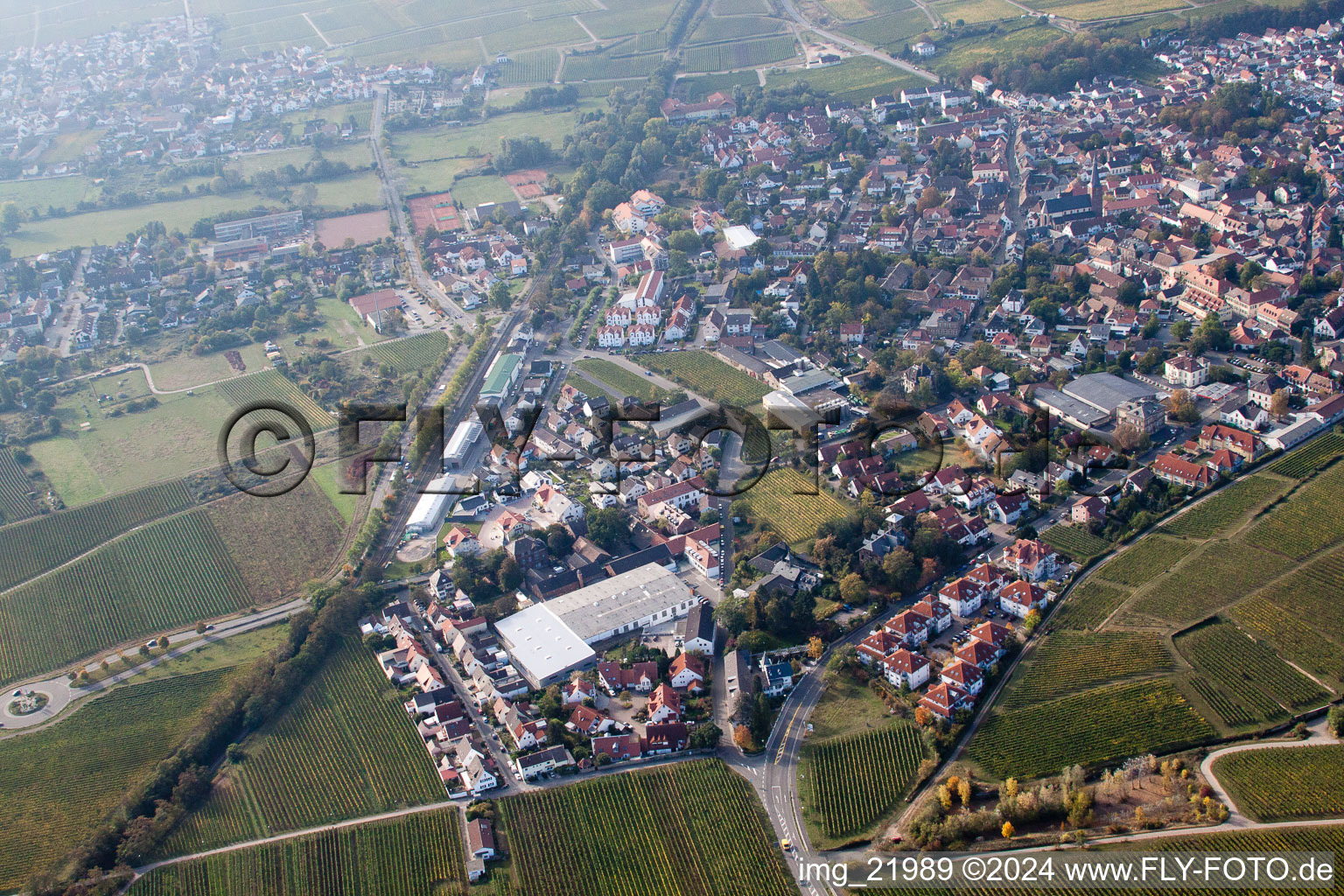 Deidesheim dans le département Rhénanie-Palatinat, Allemagne du point de vue du drone