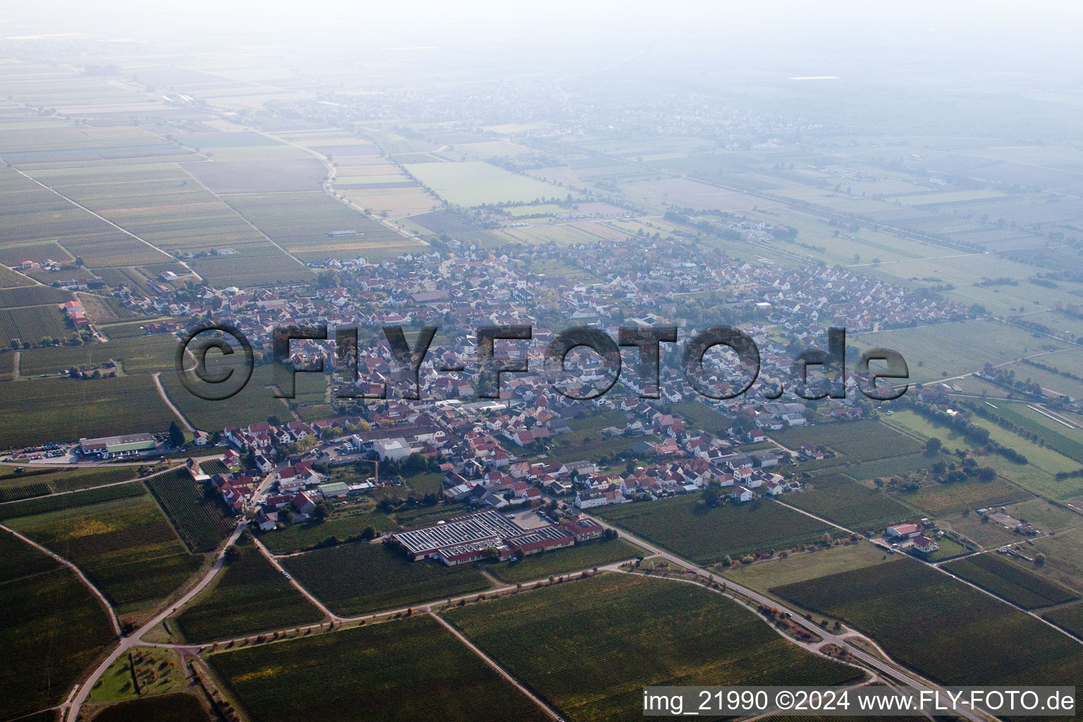 Vue d'oiseau de Wachenheim an der Weinstraße dans le département Rhénanie-Palatinat, Allemagne