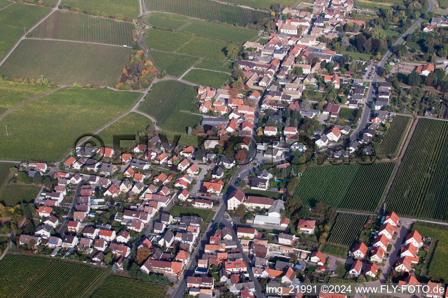 Deidesheim dans le département Rhénanie-Palatinat, Allemagne d'un drone