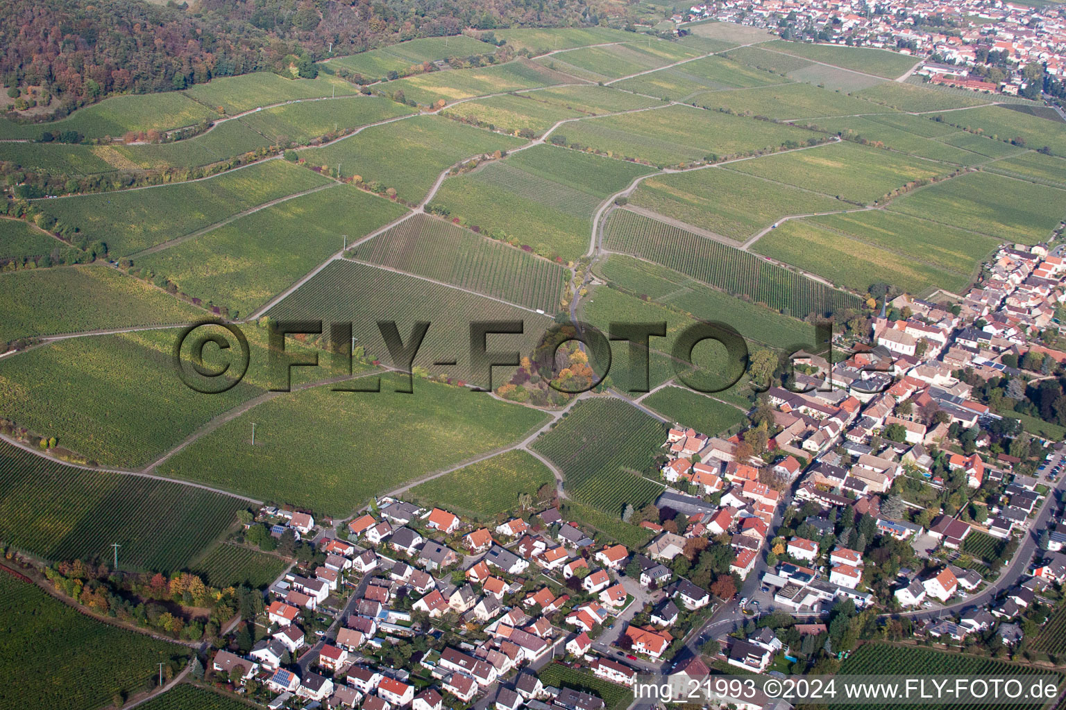 Vue aérienne de Deidesheim dans le département Rhénanie-Palatinat, Allemagne