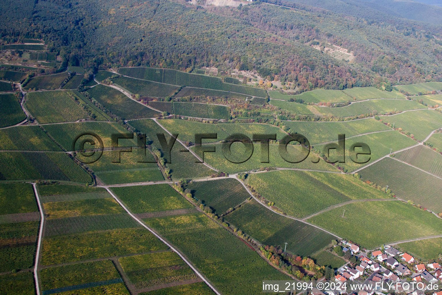 Photographie aérienne de Deidesheim dans le département Rhénanie-Palatinat, Allemagne