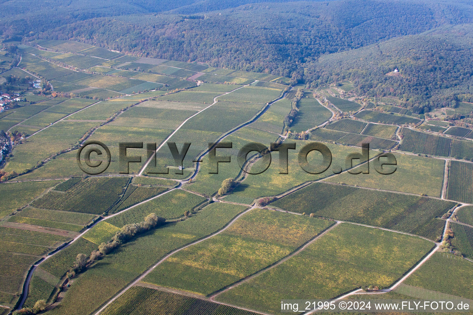 Vue oblique de Deidesheim dans le département Rhénanie-Palatinat, Allemagne