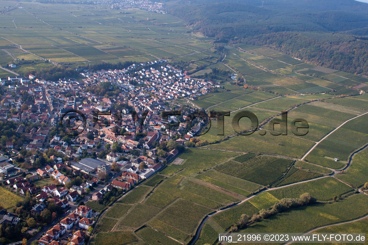Deidesheim dans le département Rhénanie-Palatinat, Allemagne d'en haut