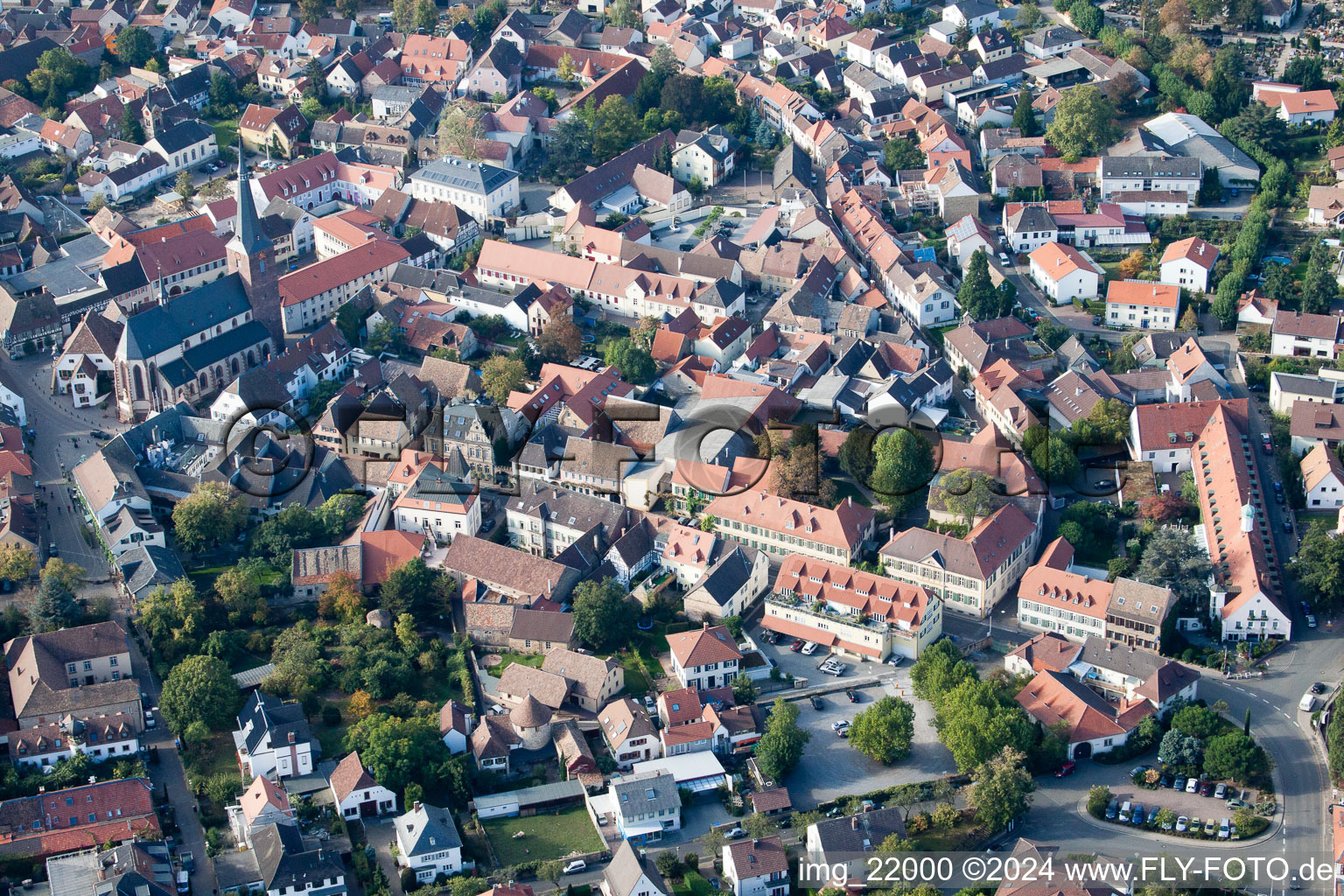 Deidesheim dans le département Rhénanie-Palatinat, Allemagne depuis l'avion