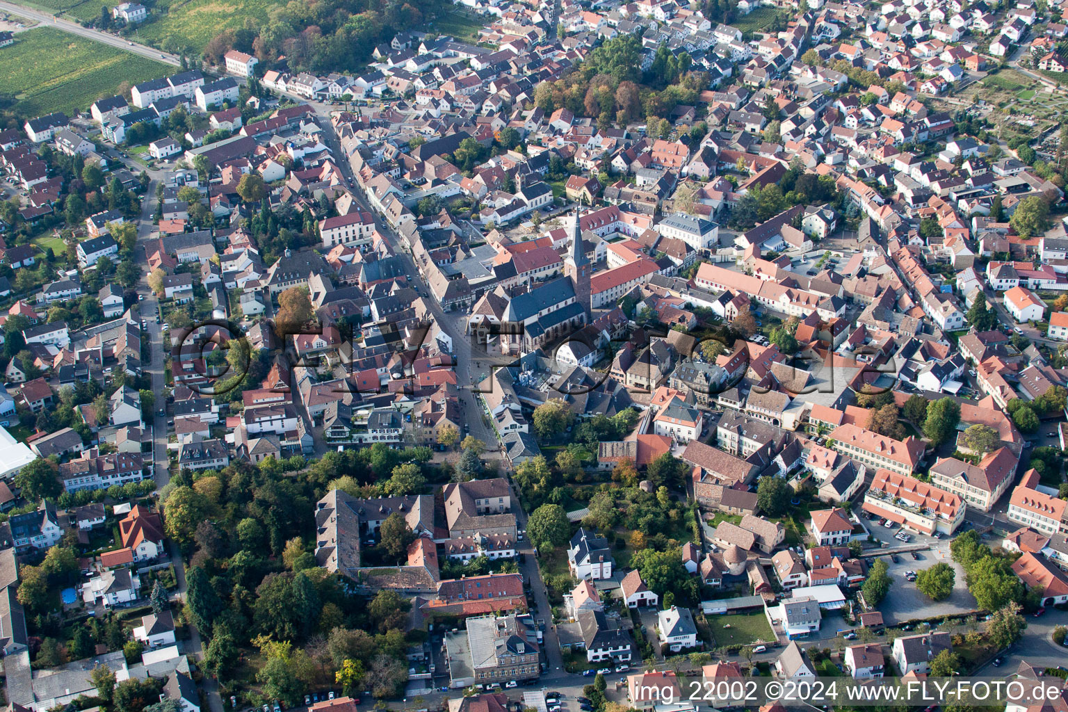 Vue aérienne de Vieille ville et centre-ville à Deidesheim dans le département Rhénanie-Palatinat, Allemagne