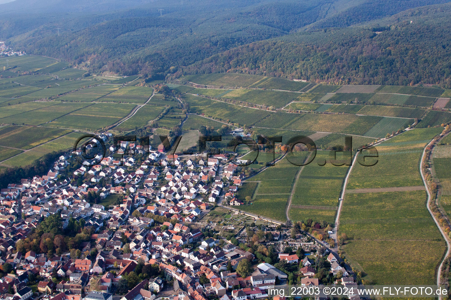 Vue d'oiseau de Deidesheim dans le département Rhénanie-Palatinat, Allemagne