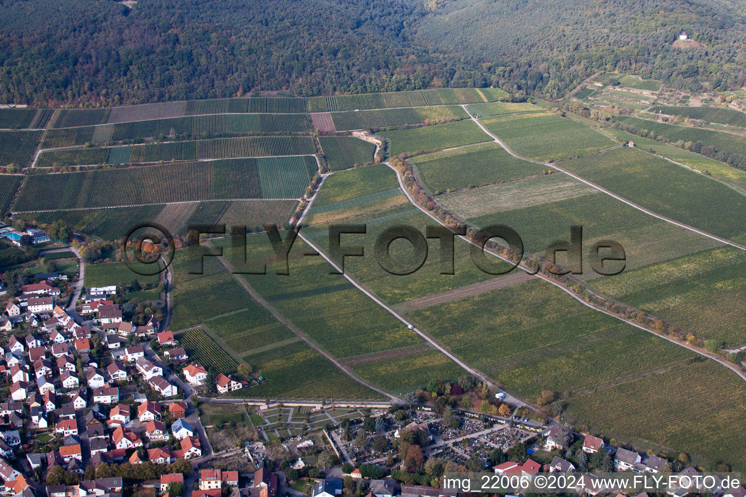 Enregistrement par drone de Deidesheim dans le département Rhénanie-Palatinat, Allemagne