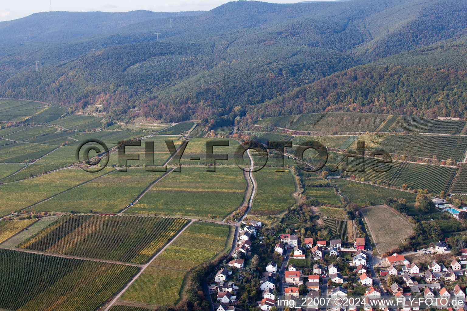 Image drone de Deidesheim dans le département Rhénanie-Palatinat, Allemagne