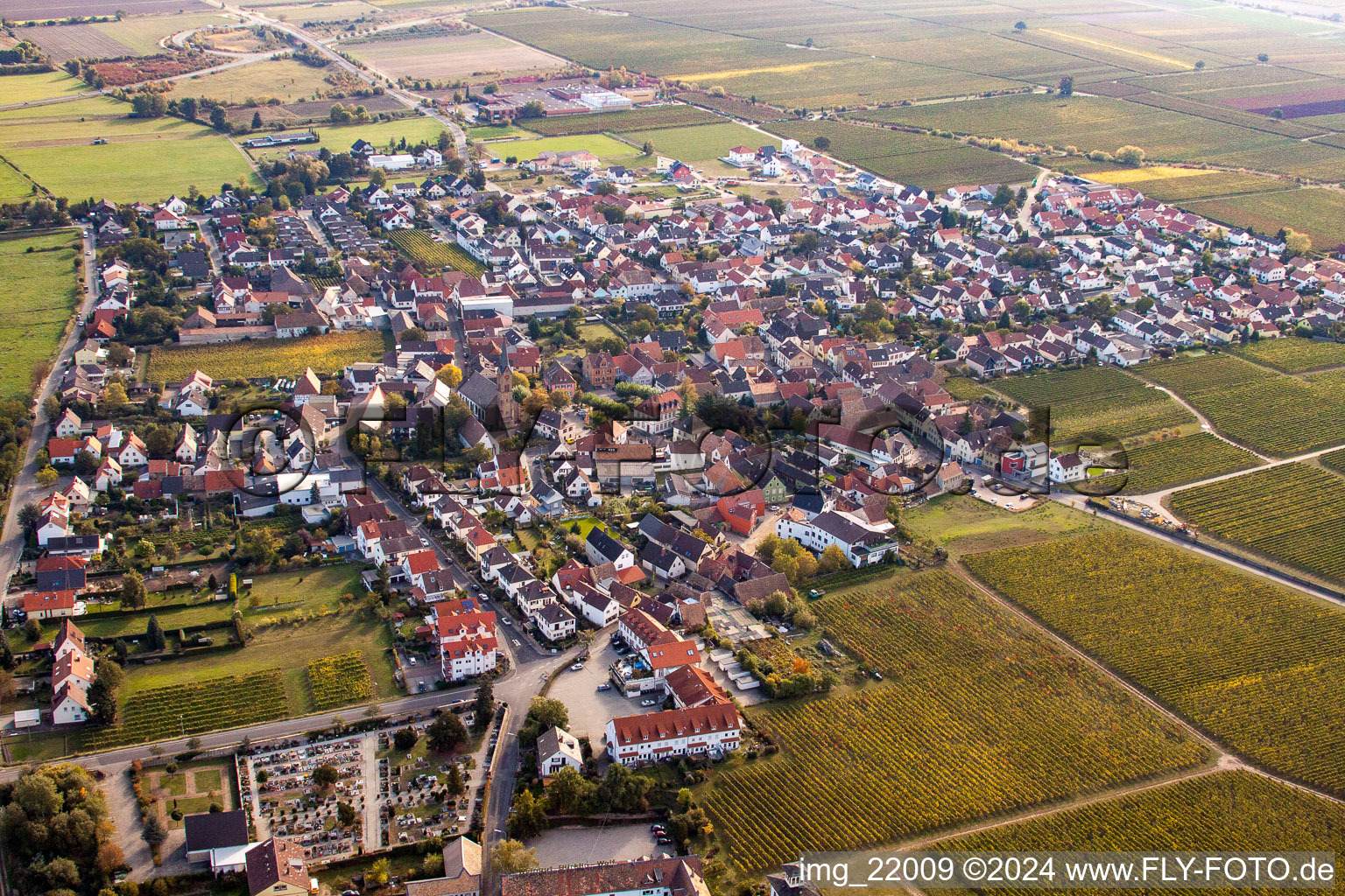 Vue aérienne de Vignobles du quartier de Königsbach à Ruppertsberg dans le département Rhénanie-Palatinat, Allemagne