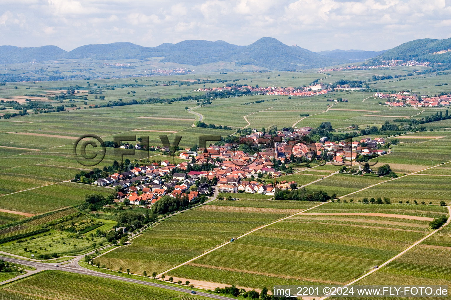 Vue aérienne de Vignobles à Roschbach dans le département Rhénanie-Palatinat, Allemagne