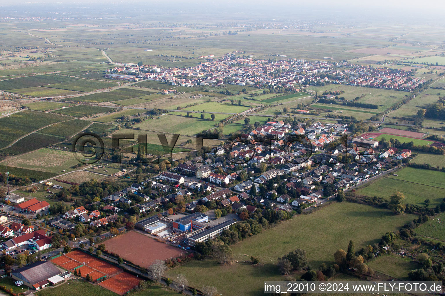 Vue aérienne de Est à Deidesheim dans le département Rhénanie-Palatinat, Allemagne