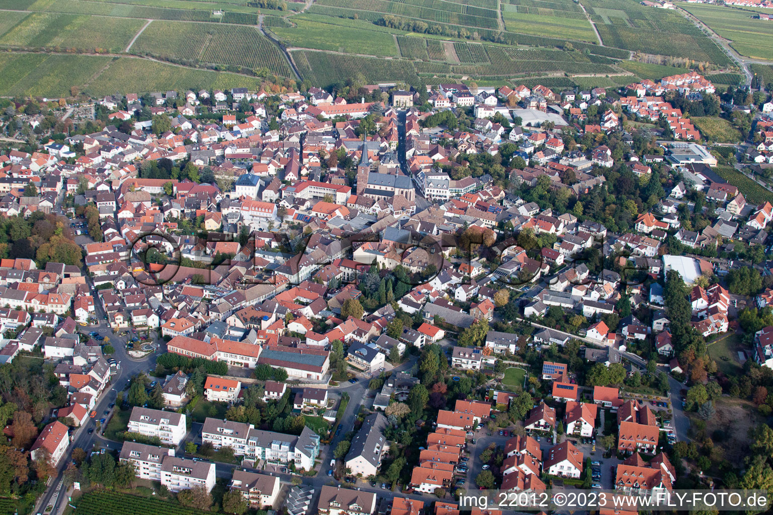Deidesheim dans le département Rhénanie-Palatinat, Allemagne d'un drone