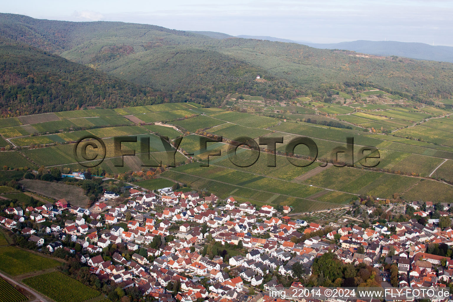 Vue aérienne de Deidesheim dans le département Rhénanie-Palatinat, Allemagne