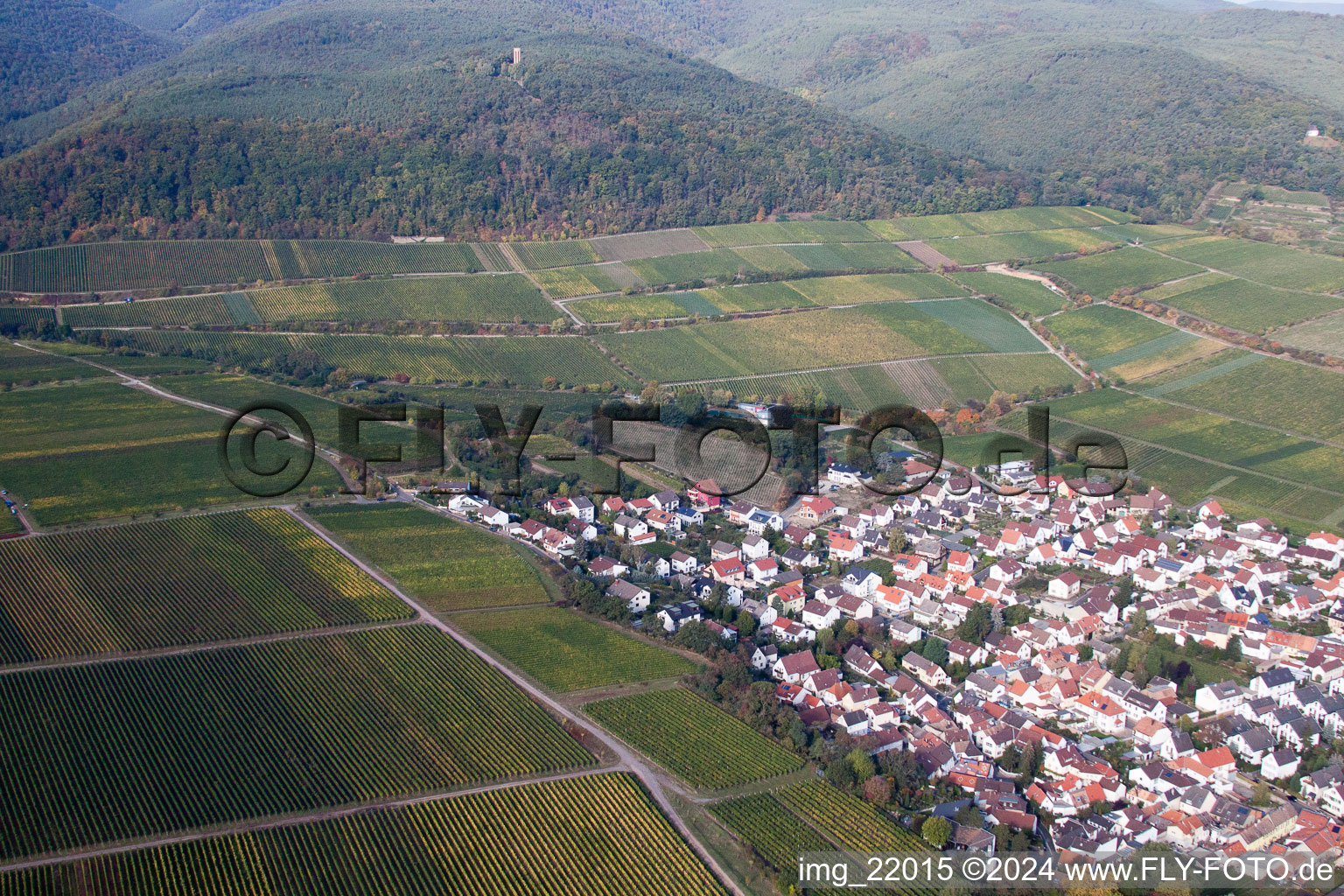 Photographie aérienne de Deidesheim dans le département Rhénanie-Palatinat, Allemagne