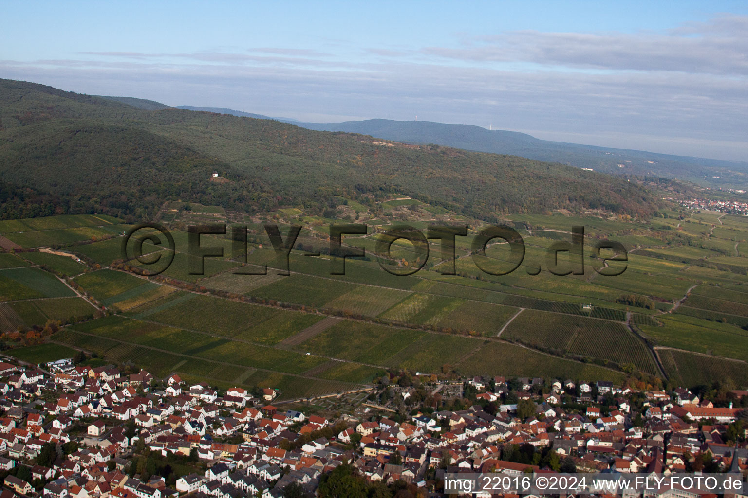 Vue oblique de Deidesheim dans le département Rhénanie-Palatinat, Allemagne