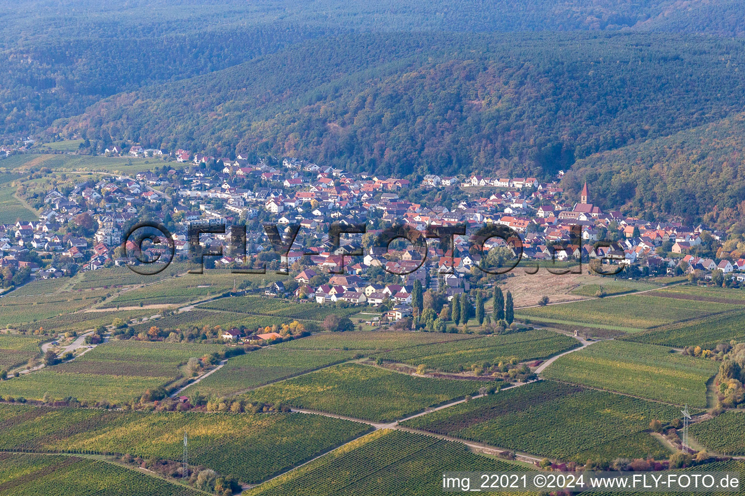 Quartier Königsbach in Neustadt an der Weinstraße dans le département Rhénanie-Palatinat, Allemagne vue d'en haut