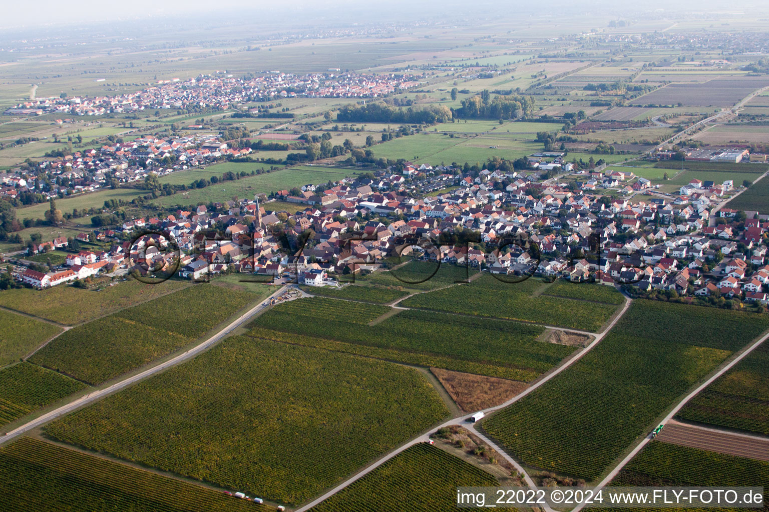 Ruppertsberg dans le département Rhénanie-Palatinat, Allemagne d'un drone