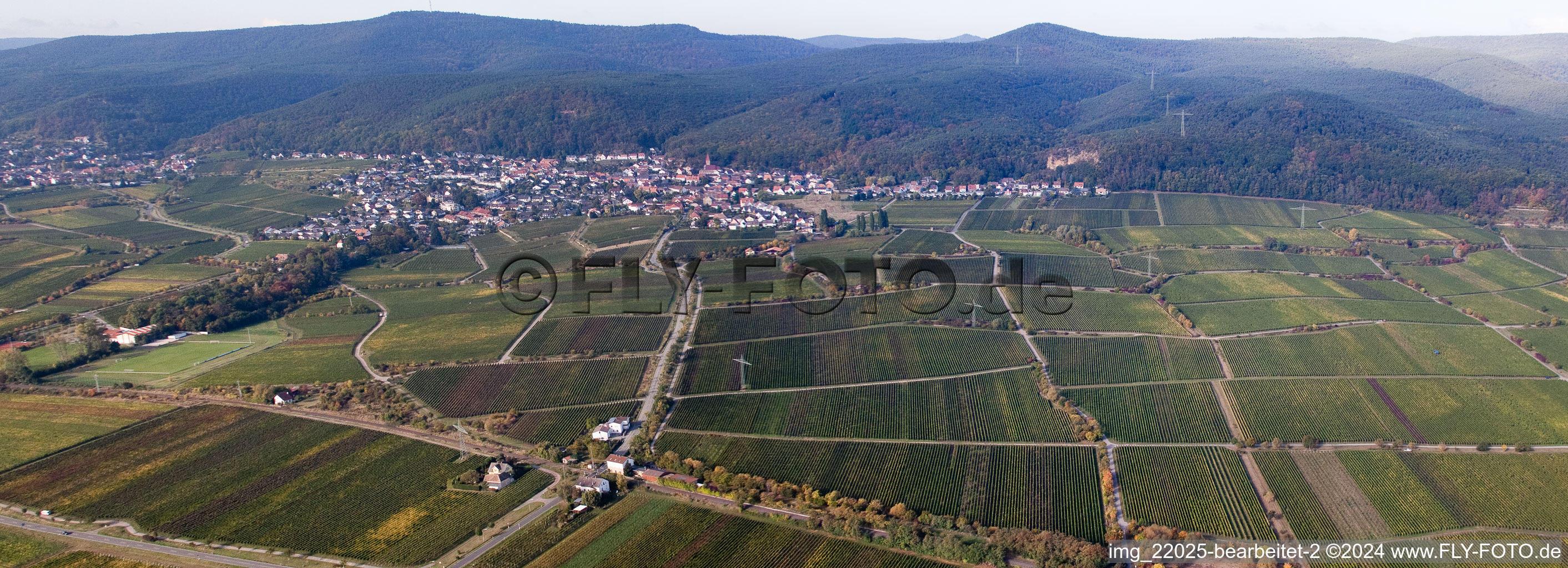 Quartier Königsbach in Neustadt an der Weinstraße dans le département Rhénanie-Palatinat, Allemagne depuis l'avion