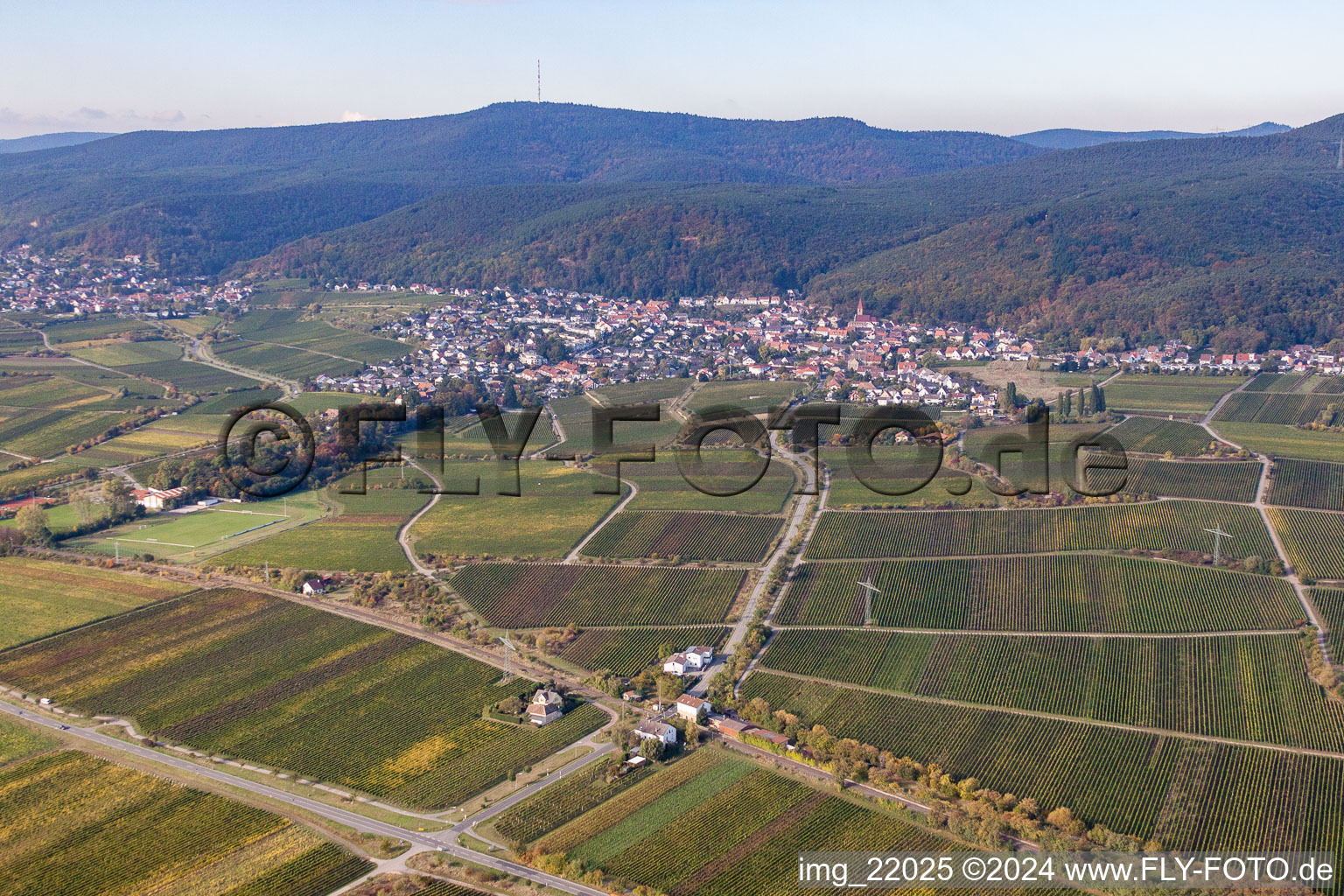 Vue d'oiseau de Quartier Königsbach in Neustadt an der Weinstraße dans le département Rhénanie-Palatinat, Allemagne