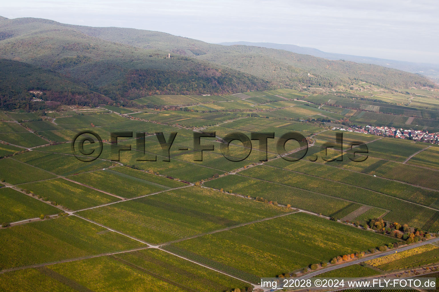 Deidesheim dans le département Rhénanie-Palatinat, Allemagne vue d'en haut