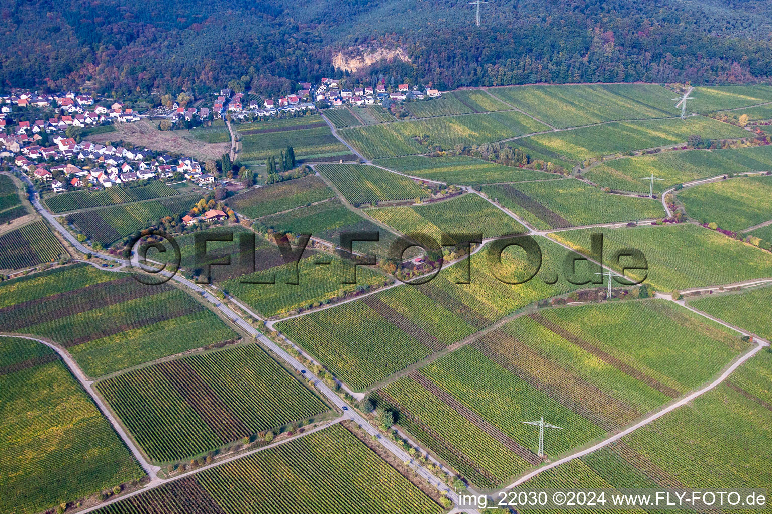 Image drone de Quartier Königsbach in Neustadt an der Weinstraße dans le département Rhénanie-Palatinat, Allemagne