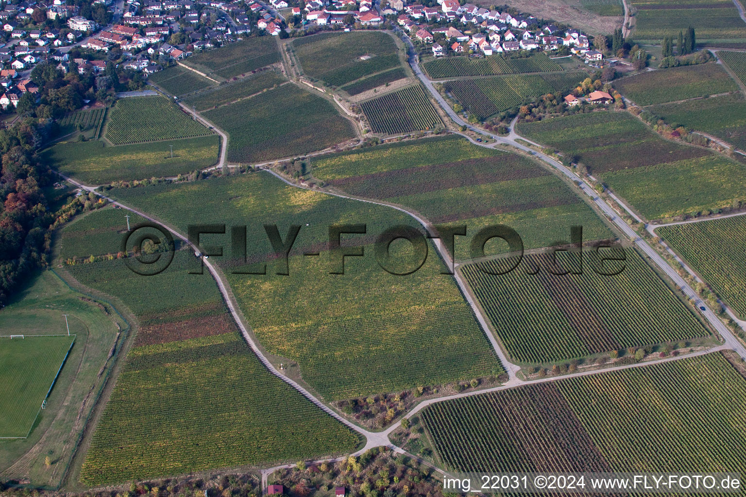 Quartier Königsbach in Neustadt an der Weinstraße dans le département Rhénanie-Palatinat, Allemagne du point de vue du drone