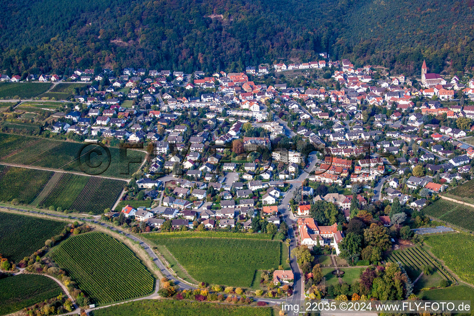 Vue aérienne de Vignobles sur le Haardtrand de la forêt du Palatinat à le quartier Königsbach in Neustadt an der Weinstraße dans le département Rhénanie-Palatinat, Allemagne