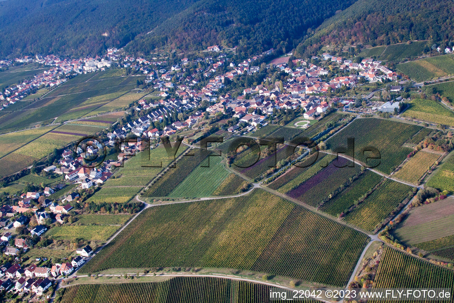 Quartier Mußbach in Neustadt an der Weinstraße dans le département Rhénanie-Palatinat, Allemagne vu d'un drone