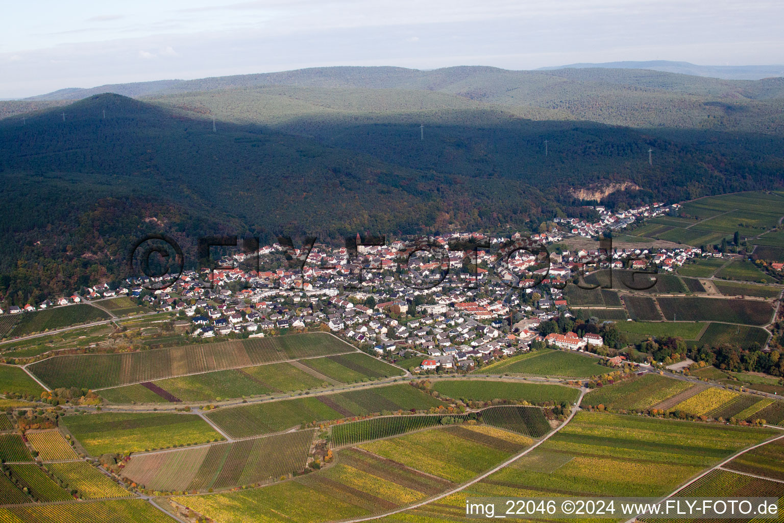 Photographie aérienne de Quartier Königsbach in Neustadt an der Weinstraße dans le département Rhénanie-Palatinat, Allemagne