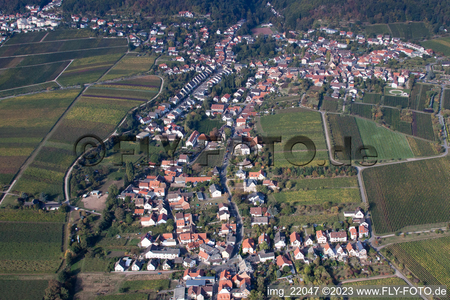 Photographie aérienne de Quartier Mußbach in Neustadt an der Weinstraße dans le département Rhénanie-Palatinat, Allemagne