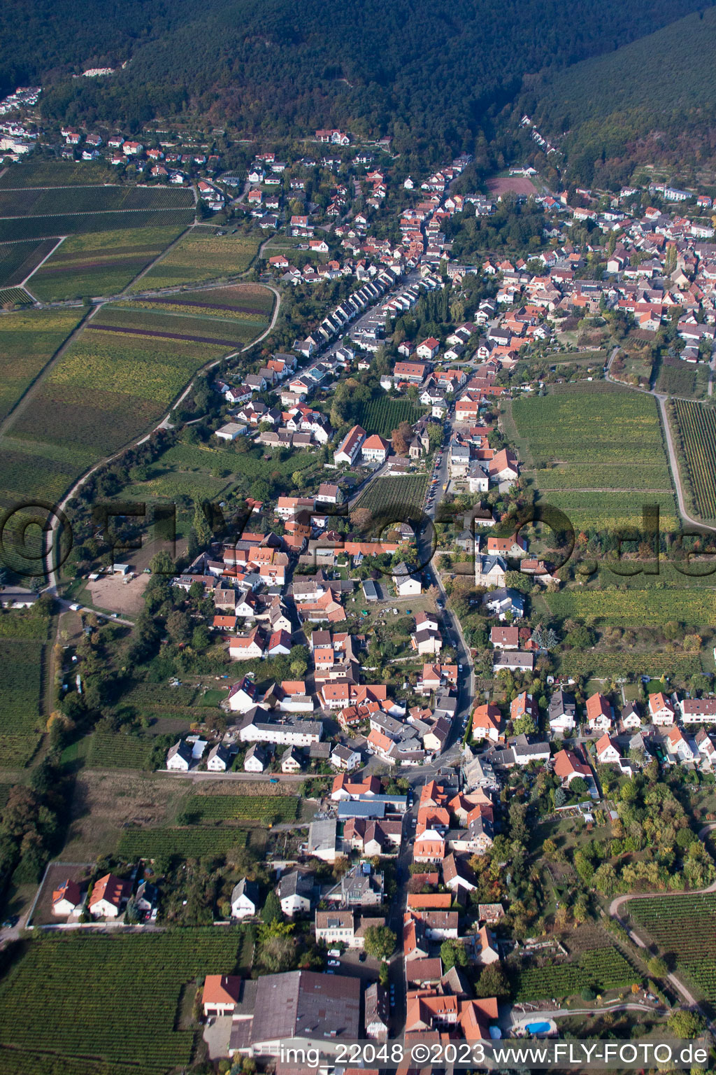 Vue oblique de Quartier Mußbach in Neustadt an der Weinstraße dans le département Rhénanie-Palatinat, Allemagne