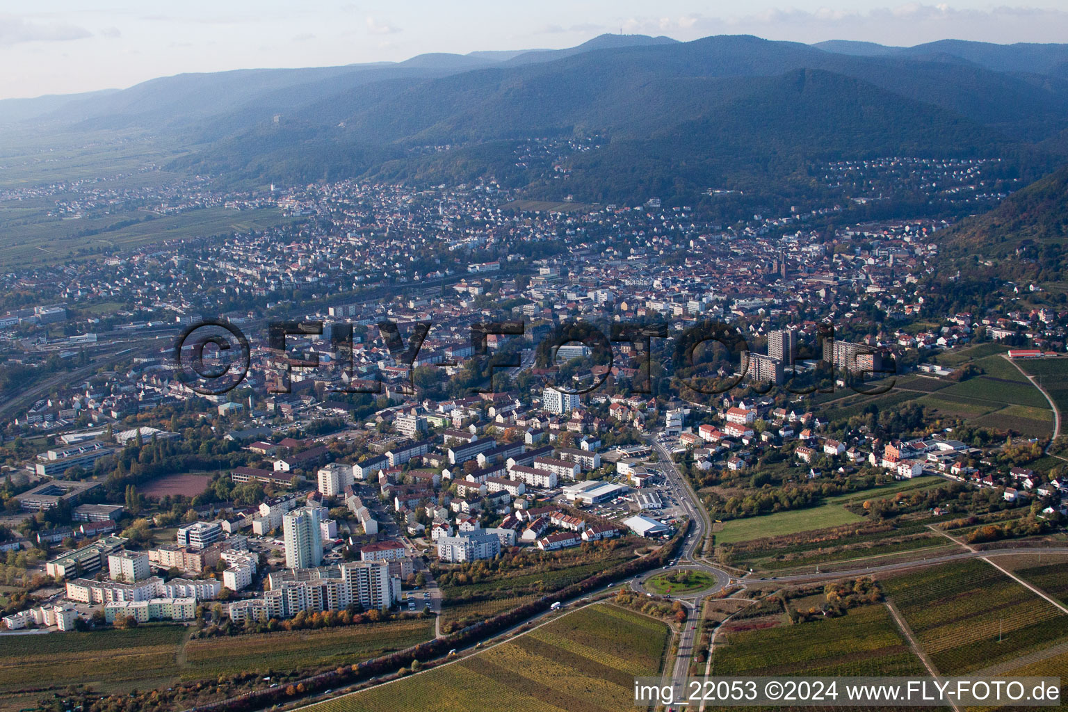 Vue aérienne de Du nord à Neustadt an der Weinstraße dans le département Rhénanie-Palatinat, Allemagne