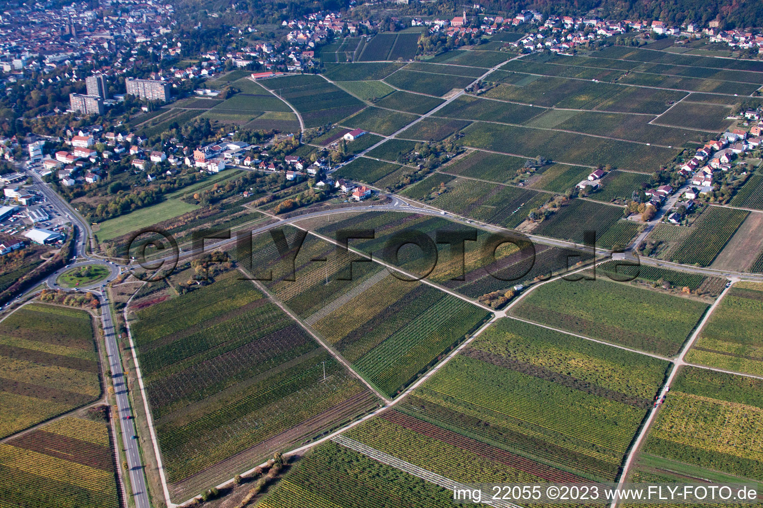 Neustadt an der Weinstraße dans le département Rhénanie-Palatinat, Allemagne d'en haut