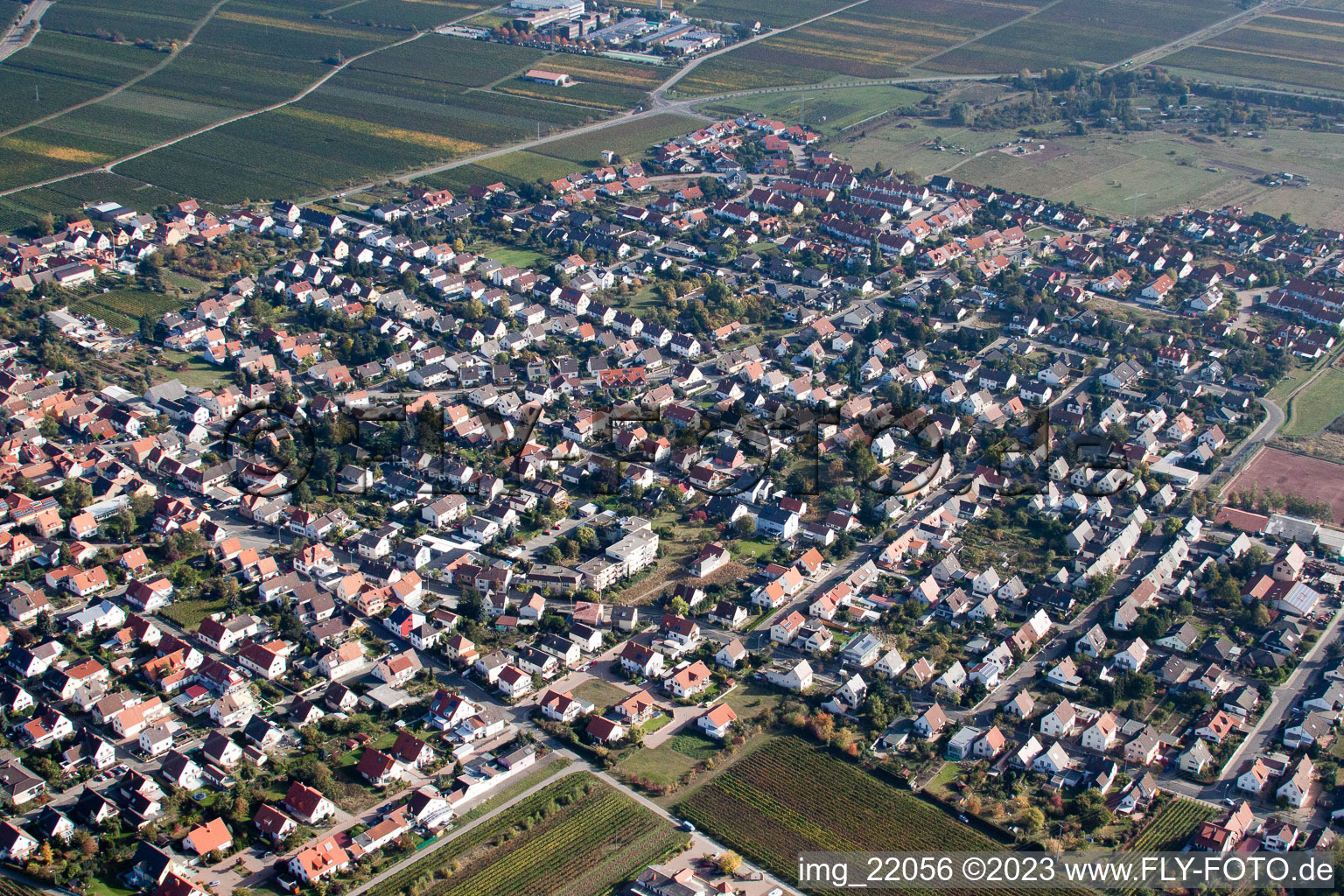 Quartier Mußbach in Neustadt an der Weinstraße dans le département Rhénanie-Palatinat, Allemagne hors des airs