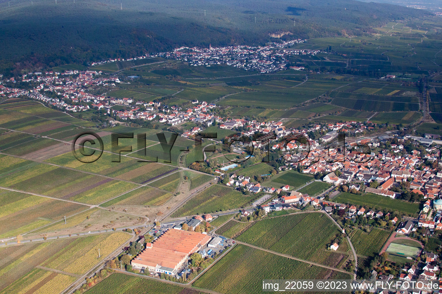 Quartier Mußbach in Neustadt an der Weinstraße dans le département Rhénanie-Palatinat, Allemagne depuis l'avion