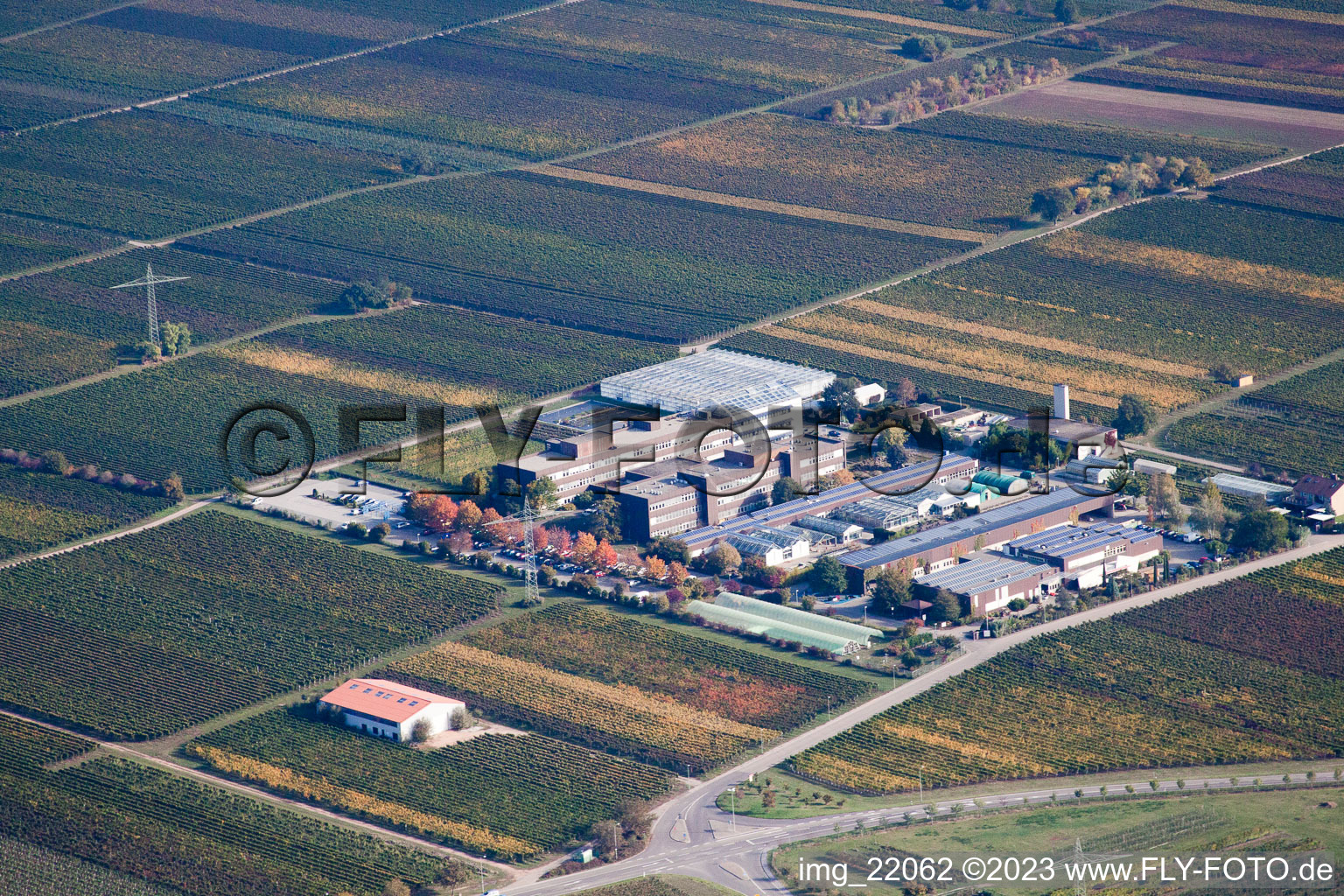 Photographie aérienne de RLP Agroscience à le quartier Mußbach in Neustadt an der Weinstraße dans le département Rhénanie-Palatinat, Allemagne