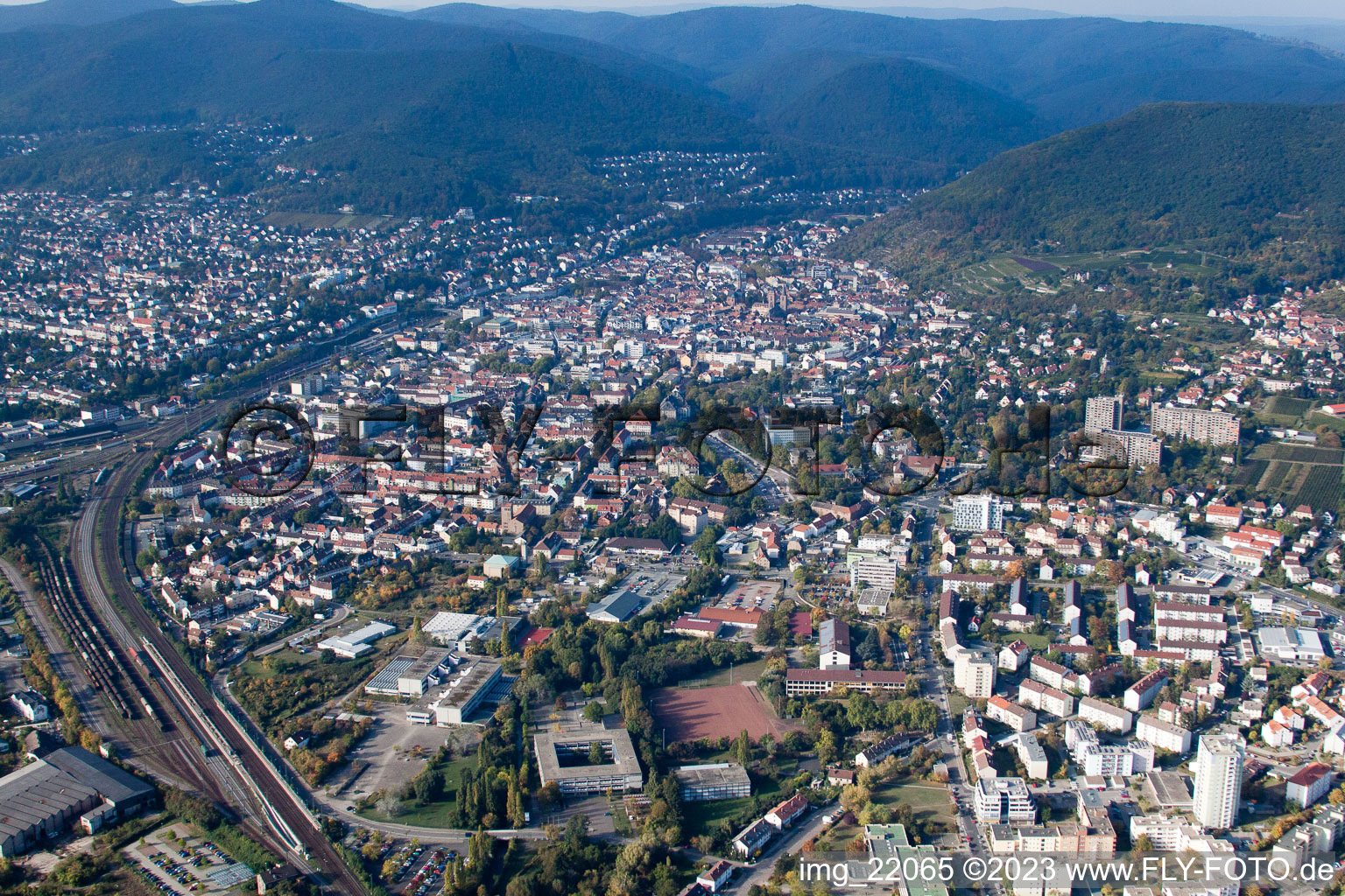 Neustadt an der Weinstraße dans le département Rhénanie-Palatinat, Allemagne depuis l'avion