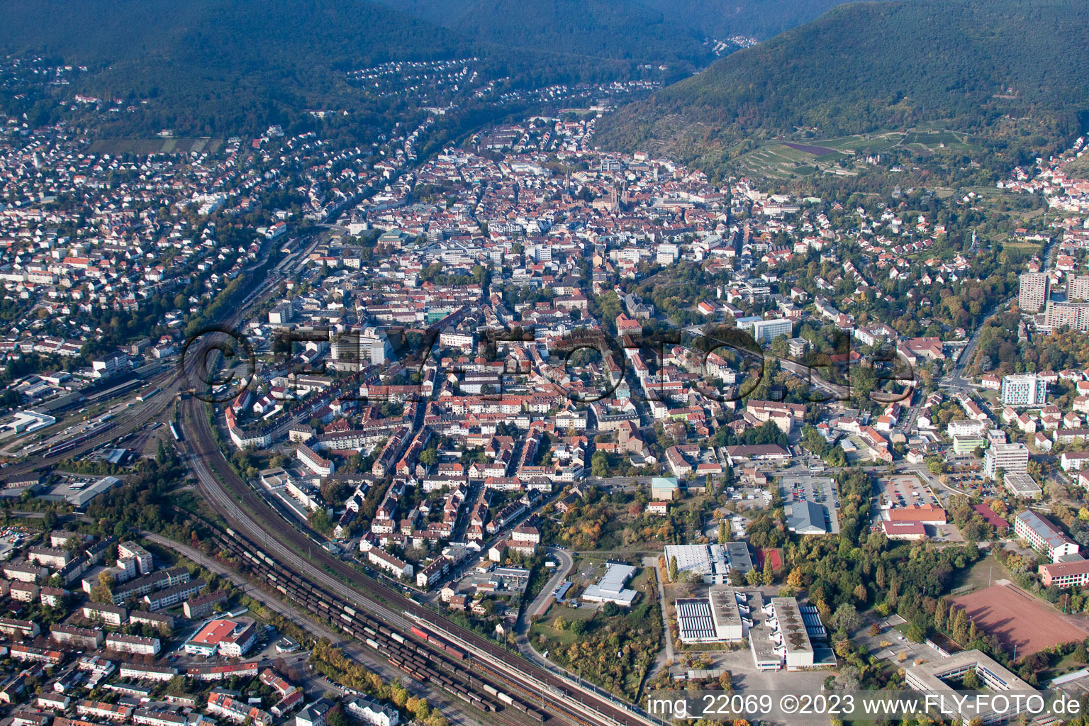 Image drone de Neustadt an der Weinstraße dans le département Rhénanie-Palatinat, Allemagne