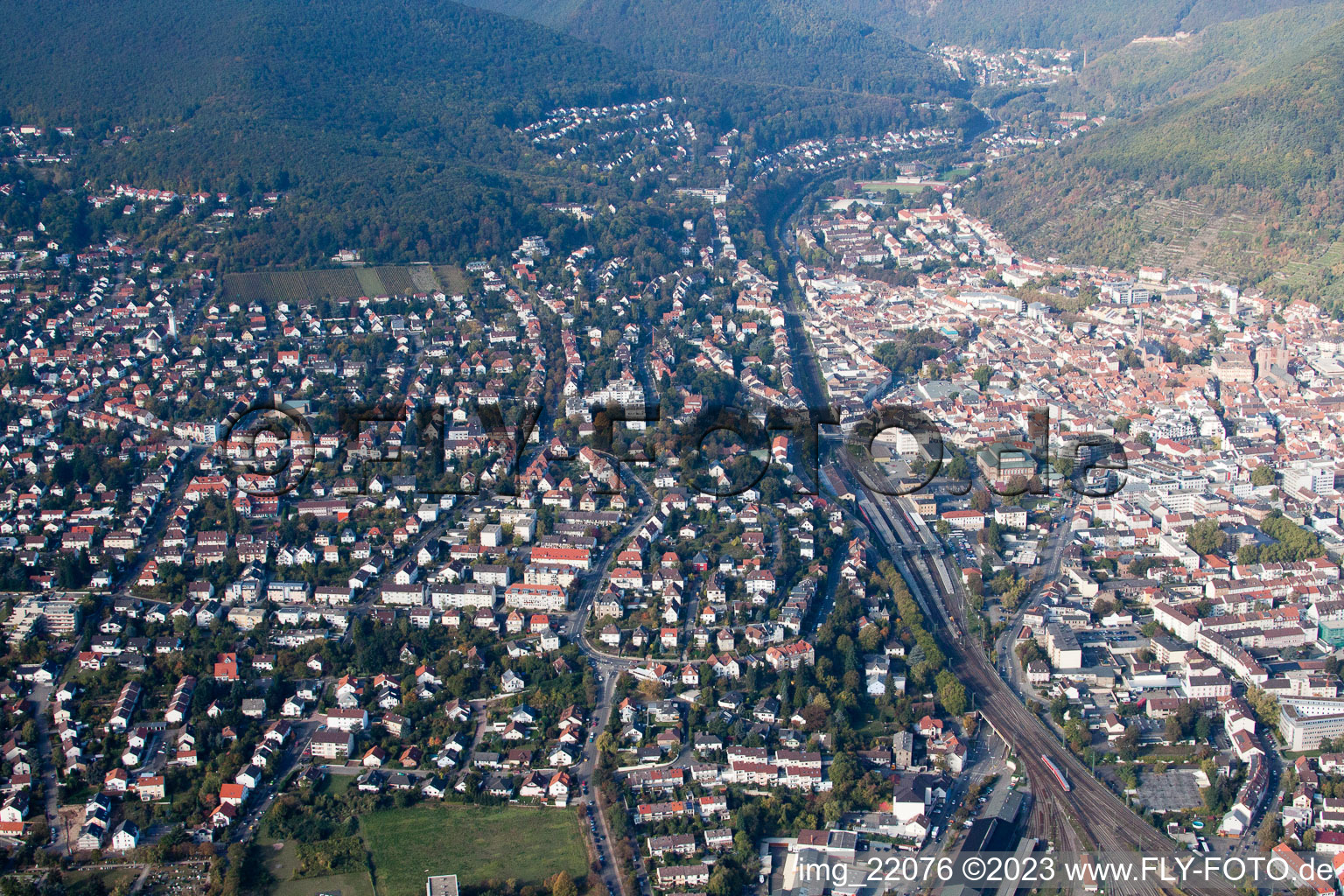 Neustadt an der Weinstraße dans le département Rhénanie-Palatinat, Allemagne vu d'un drone