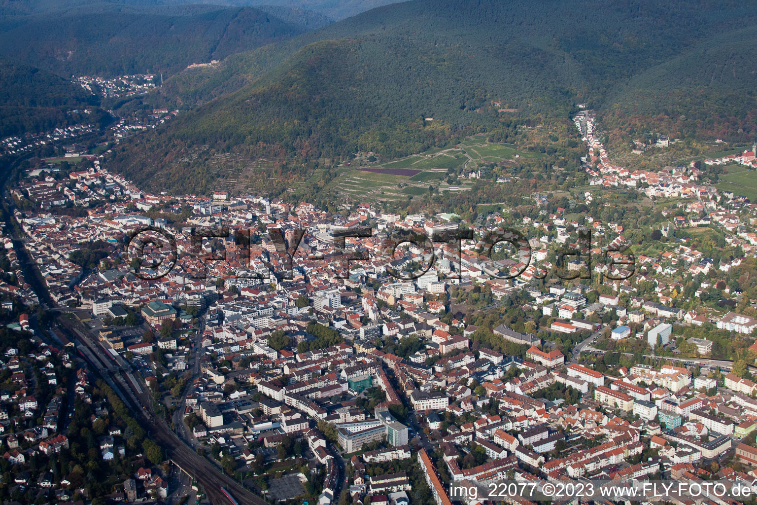 Vue aérienne de Neustadt an der Weinstraße dans le département Rhénanie-Palatinat, Allemagne