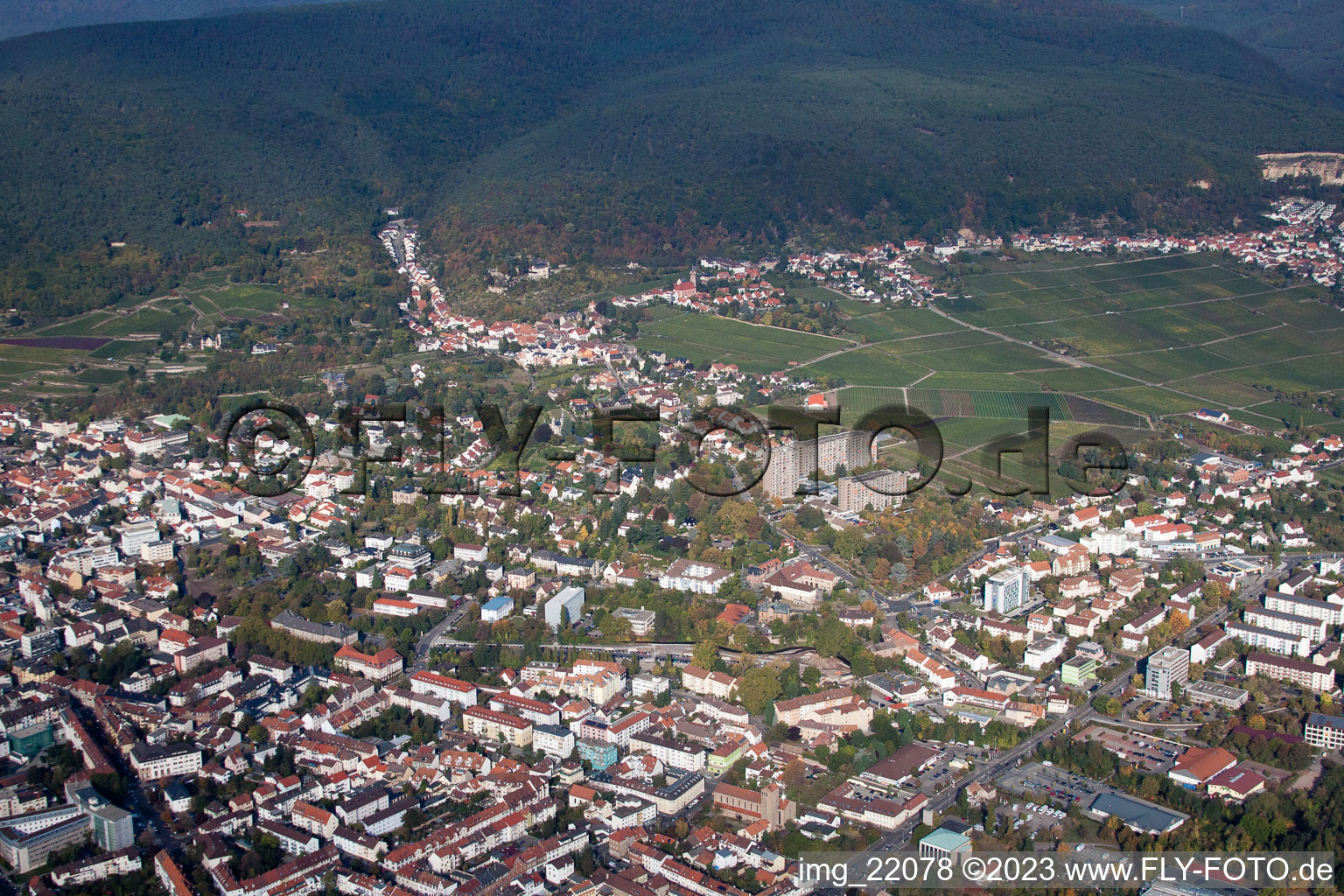 Vue aérienne de Rue Haardter à Neustadt an der Weinstraße dans le département Rhénanie-Palatinat, Allemagne