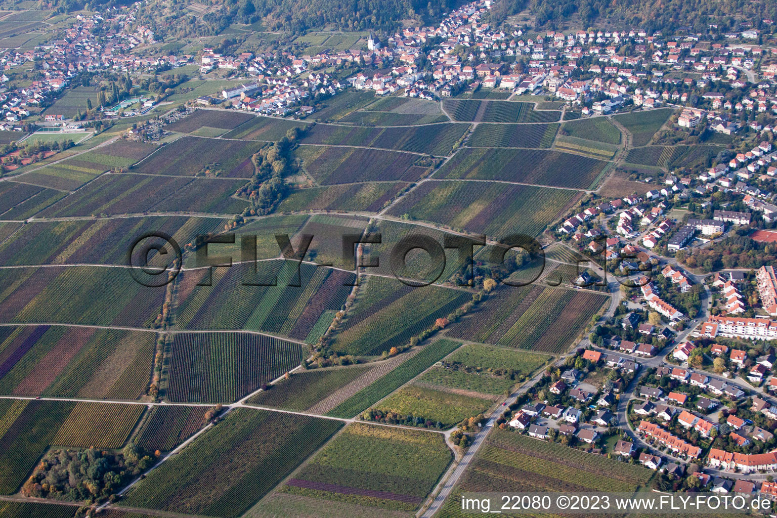 Photographie aérienne de Neustadt an der Weinstraße dans le département Rhénanie-Palatinat, Allemagne