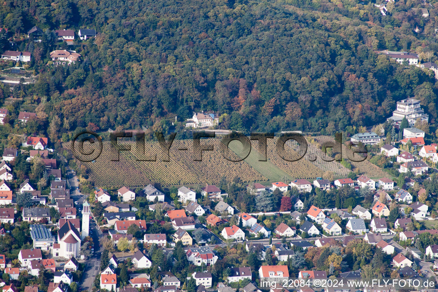 Vue aérienne de Paysage viticole des domaines viticoles entre forêt et village dans la commune de Hambach à Neustadt an der Weinstraße dans le département Rhénanie-Palatinat, Allemagne